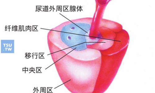 哪种牌子的胰岛素好-哪个牌子的胰岛素最有效、哪个牌子的胰岛素最有效 -哪个胰岛素效果好吗网