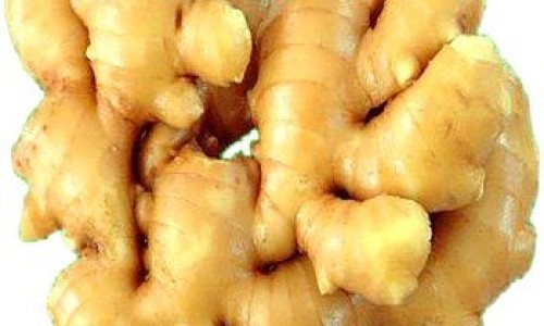 哪个牌子的胰岛素最有效、哪个牌子的胰岛素最有效 -哪个胰岛素效果好吗网
